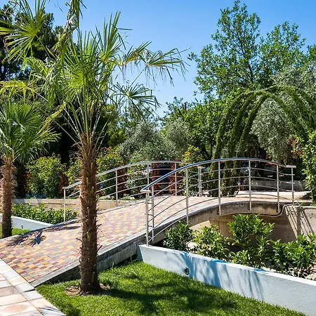 The Elegant فندق